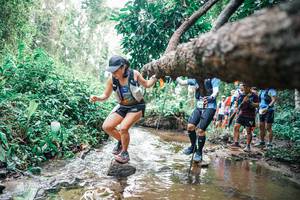 BIB: 
                            <button type="button" onclick="openModal(25373626)" class="btn btn-primary btn-sm float-right btn-popup" data-toggle="modal" data-target=".modal-high-quality">
                        <i class="fas fa-shopping-cart"></i> Add to Cart
                    </button>
                                            <button type="button" onclick="isThisMe(25373626, true)" class="btn btn-success btn-sm float-right btn-popup btn-isme hidden" data-toggle="tooltip" data-placement="bottom" title="นี่คือรูปของคุณใช่ไหม คลิกที่นี่เพื่อเอาเข้าอัลบั้ม">
                        <i class="fas fa-plus"></i> Add to album
                    </button>
                    <button type="button" onclick="isThisMe(25373626, false)" class="btn btn-warning btn-sm float-right btn-popup btn-isnotme hidden">
                        <i class="fas fa-ban"></i> Remove from album
                    </button>